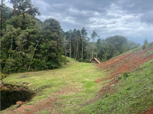 Участок, Bajo Tarrazú, Provincia de San José