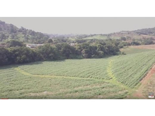 Αγροτεμάχιο σε Grecia, Provincia de Alajuela