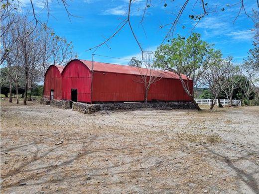‏בתים כפריים או חוות ב  Cañas, Provincia de Guanacaste