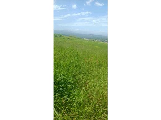Land in San Ramón, Provincia de Alajuela