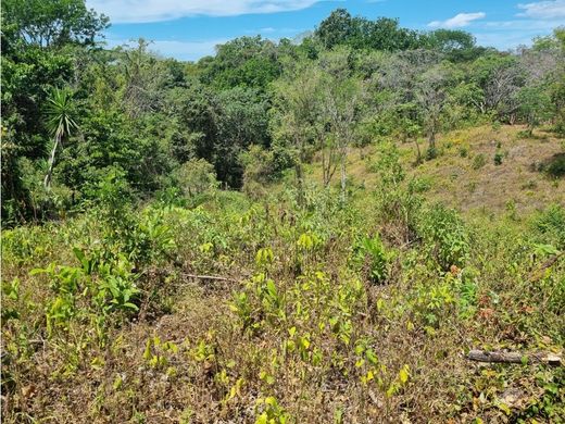Land for sale in Esparza