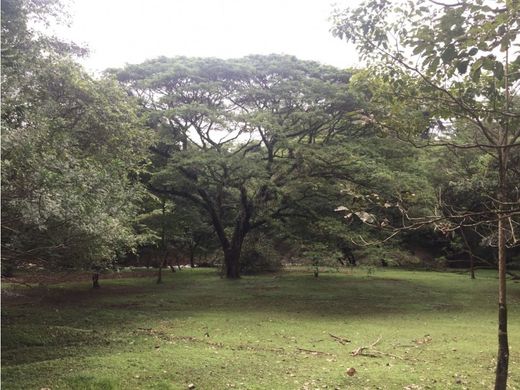 村舍/农舍  Orotina, Provincia de Alajuela