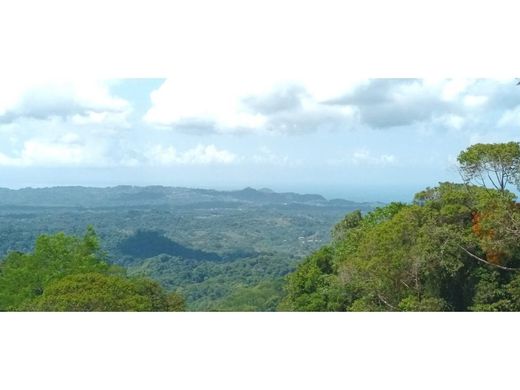 地皮  Quepos, Provincia de Puntarenas