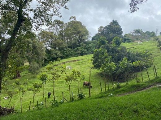Farmhouse in Cartago, Cantón de Cartago
