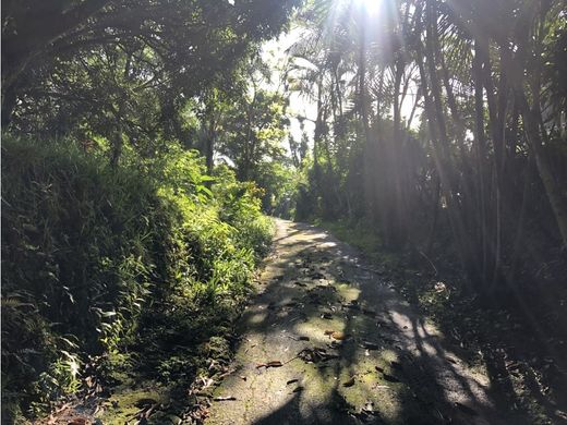 Albergo a Sarchí, Provincia de Alajuela