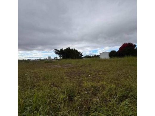 Land in San José, Cantón de San José