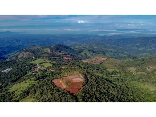 Land in San Ramón, Provincia de Alajuela