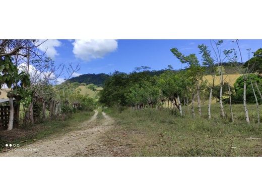 Terrain à Nandayure, Provincia de Guanacaste