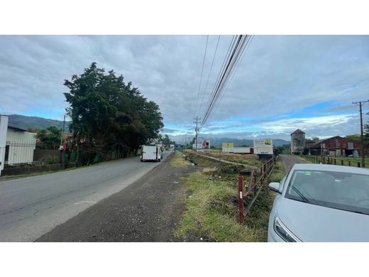 토지 / Guadalupe, Goicoechea