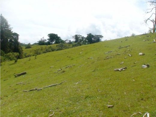 Boerderij in San Jerónimo, Moravia