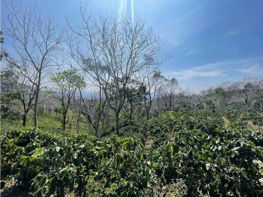 Boerderij in Atenas, Provincia de Alajuela