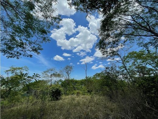Boerderij in Miramar, Montes de Oro