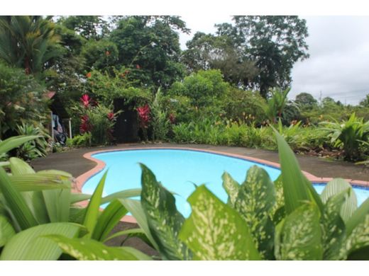 Boerderij in Guápiles, Pococí