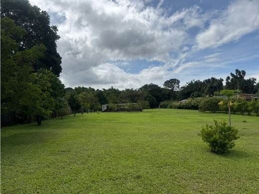 Terreno en Alajuela, Cantón de Alajuela