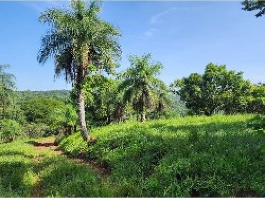 Ferme à San Mateo, Provincia de Alajuela