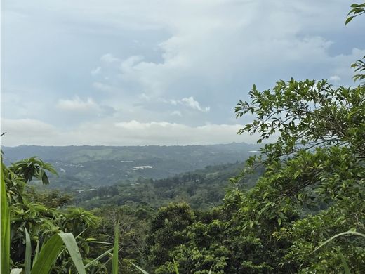 Arsa San Ramón, Provincia de Alajuela