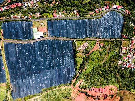 Quinta rústica - Poás, Provincia de Alajuela