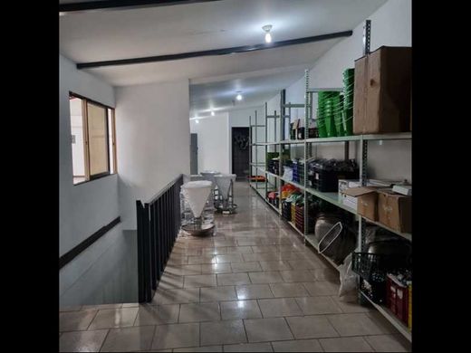 Kamienica w San José, Cantón de San José