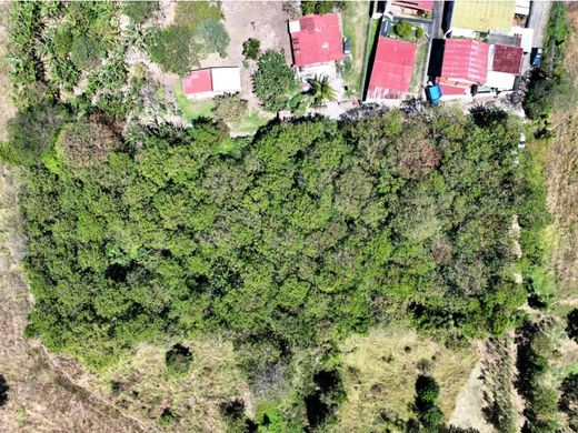 Terrain à Santo Domingo, Provincia de Heredia