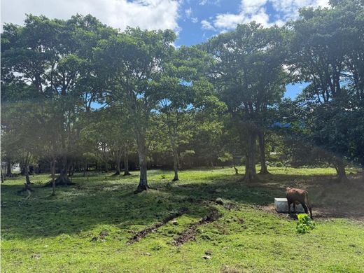 Land in San Pedro, Montes de Oca