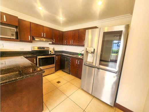 Apartament w Sabanas, Acosta