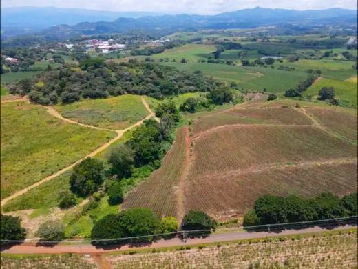 Grundstück in Grecia, Provincia de Alajuela