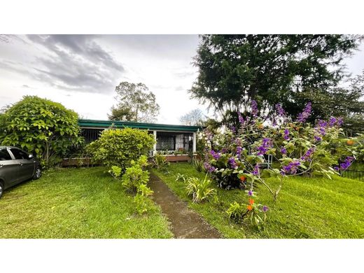 Участок, Carrizal, Cantón de Alajuela