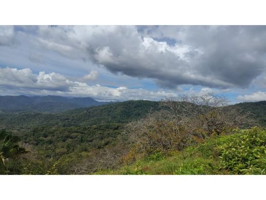 Nandayure, Provincia de Guanacasteの土地