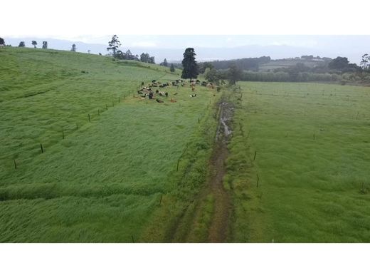 Farmhouse in Alajuela, Cantón de Alajuela