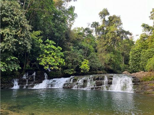 Boerderij in Puntarenas, Cantón de Puntarenas