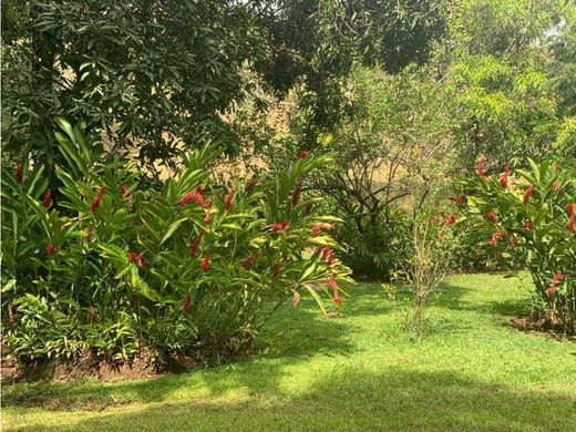 Сельский Дом, Hojancha, Provincia de Guanacaste