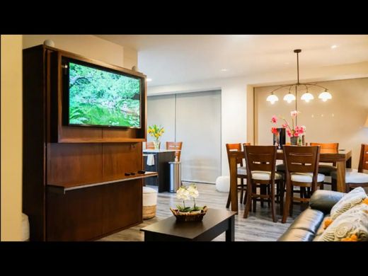 Penthouse à San José, Cantón de San José