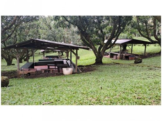 Boerderij in Atenas, Provincia de Alajuela