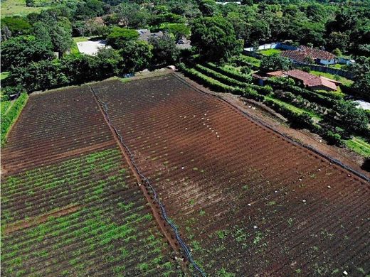 Land in San Rafael, Carrillo