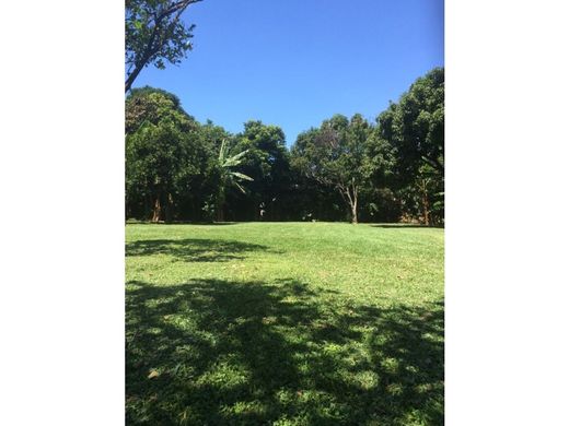 Land in Echeverría, Flores