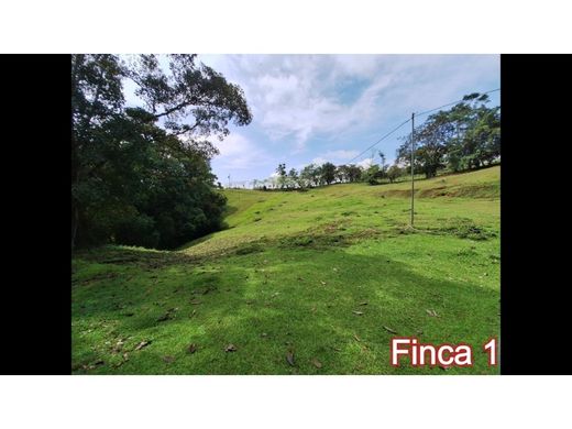 Grond in Coto Brus, Provincia de Puntarenas