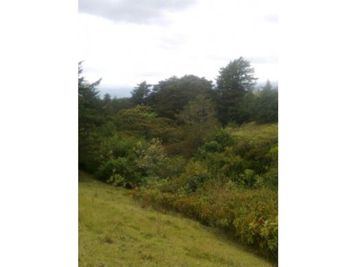 Ferme à San Rafael, Provincia de Heredia