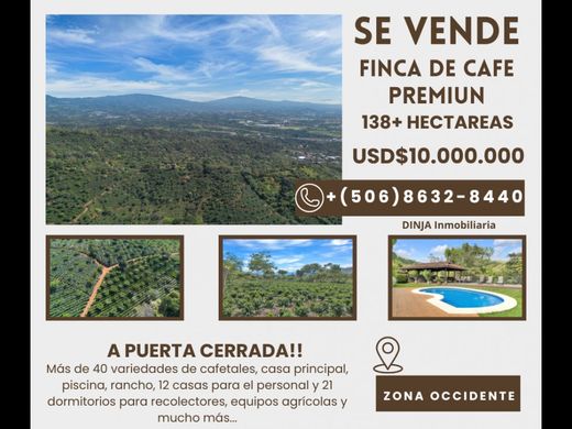 Gutshaus oder Landhaus in Altamira, San Carlos