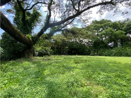 Arsa Alajuela, Cantón de Alajuela