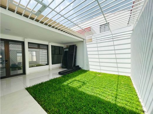 호화 저택 / 산호세, Cantón de San José