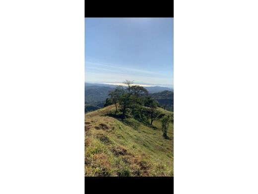 Terreno en San Ramón, Provincia de Alajuela