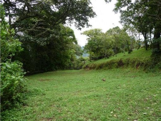 Grundstück in Alajuela, Provincia de Alajuela