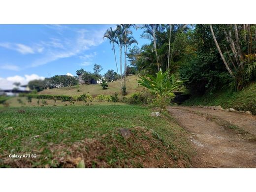 Terreno en Orosi, Paraíso