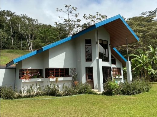 Teren w San Ramón, Provincia de Alajuela