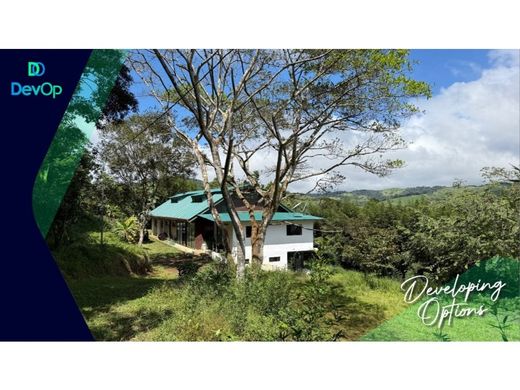 Rustik ya da çiftlik San Ramón, Provincia de Alajuela