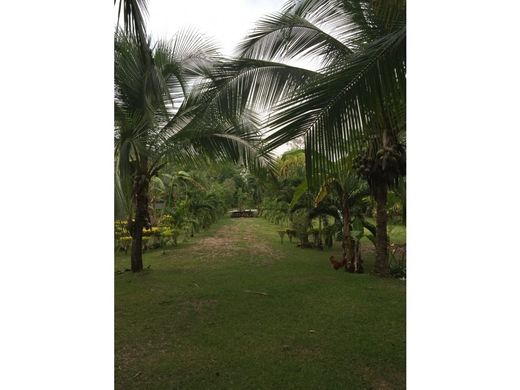 Teren w Puerto Jiménez, Golfito