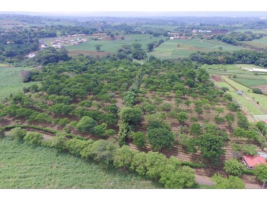 Ferme à Grecia, Provincia de Alajuela