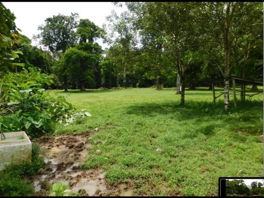 Land in Sarapiquí, Provincia de Heredia