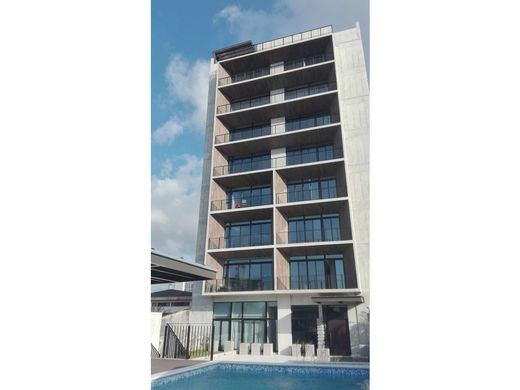 Daire San José, Cantón de San José