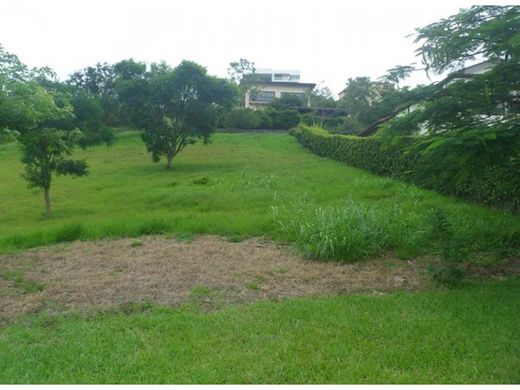 地皮  Santa Ana, Provincia de San José